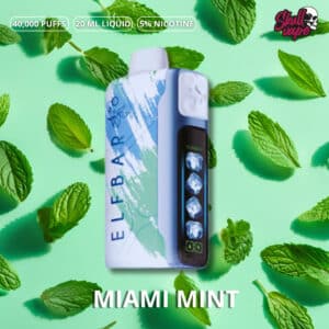 Miami Mint - ELFBAR Ice King 40000