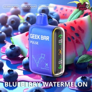 Blueberry Watermelon - Geek Bar Pulse