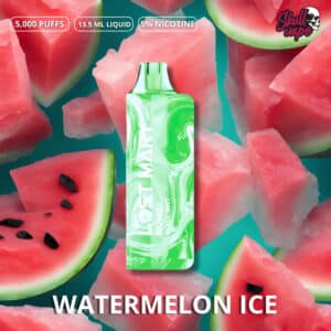 Watermelon Ice - Lost Mary MO5000