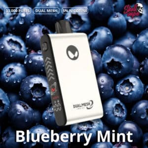 Waka Blade 33000 - Blueberry Mint