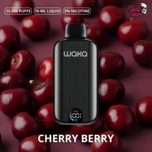 Cherry Berry - Waka DMi (15 mil hits)